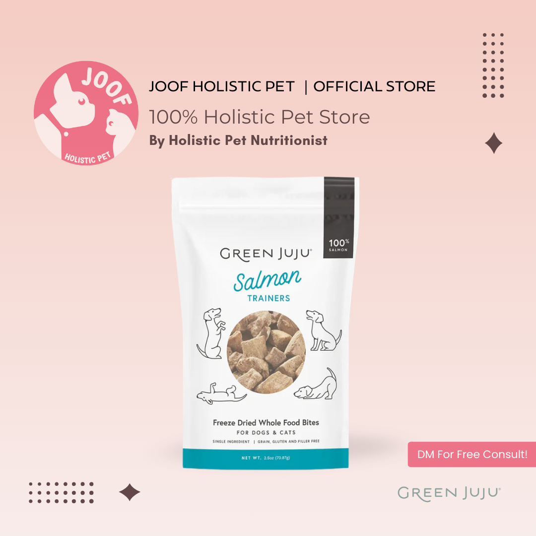 Green Juju Salmon Trainers (2.5oz) Freeze Dried Omega 3 Skin Coat Training Treat for Dogs and Cats