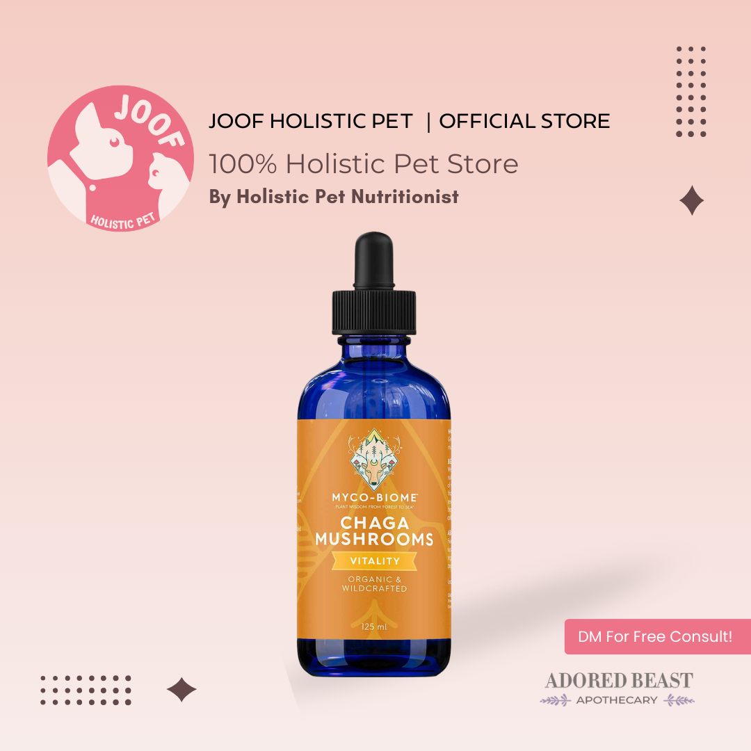 Adored Beast Myco Biome Chaga Mushroom (125ml) Immune Antioxidant Cancer Support for Dogs and Cats