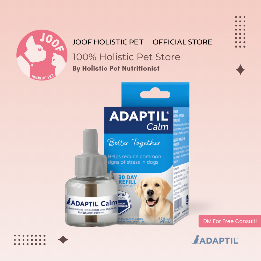 ADAPTIL Calm Diffuser (Kit & Refill) Dog Pheromone Calming Separation Anxiety Behaviour Support for Dogs