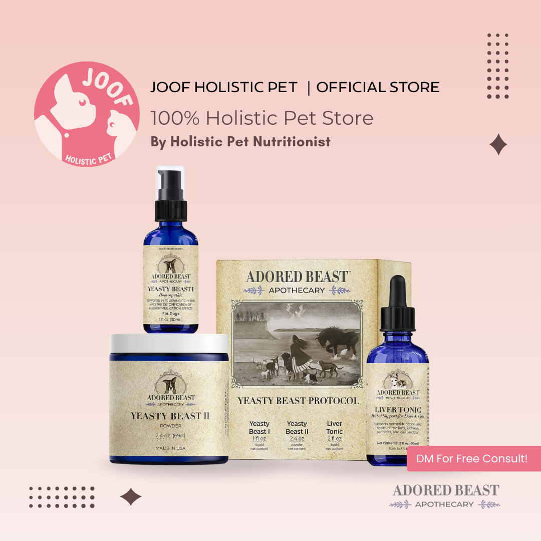 Adored Beast Yeasty Beast Protocol Yeast Infection Itchy Skin Ear Support for Dogs