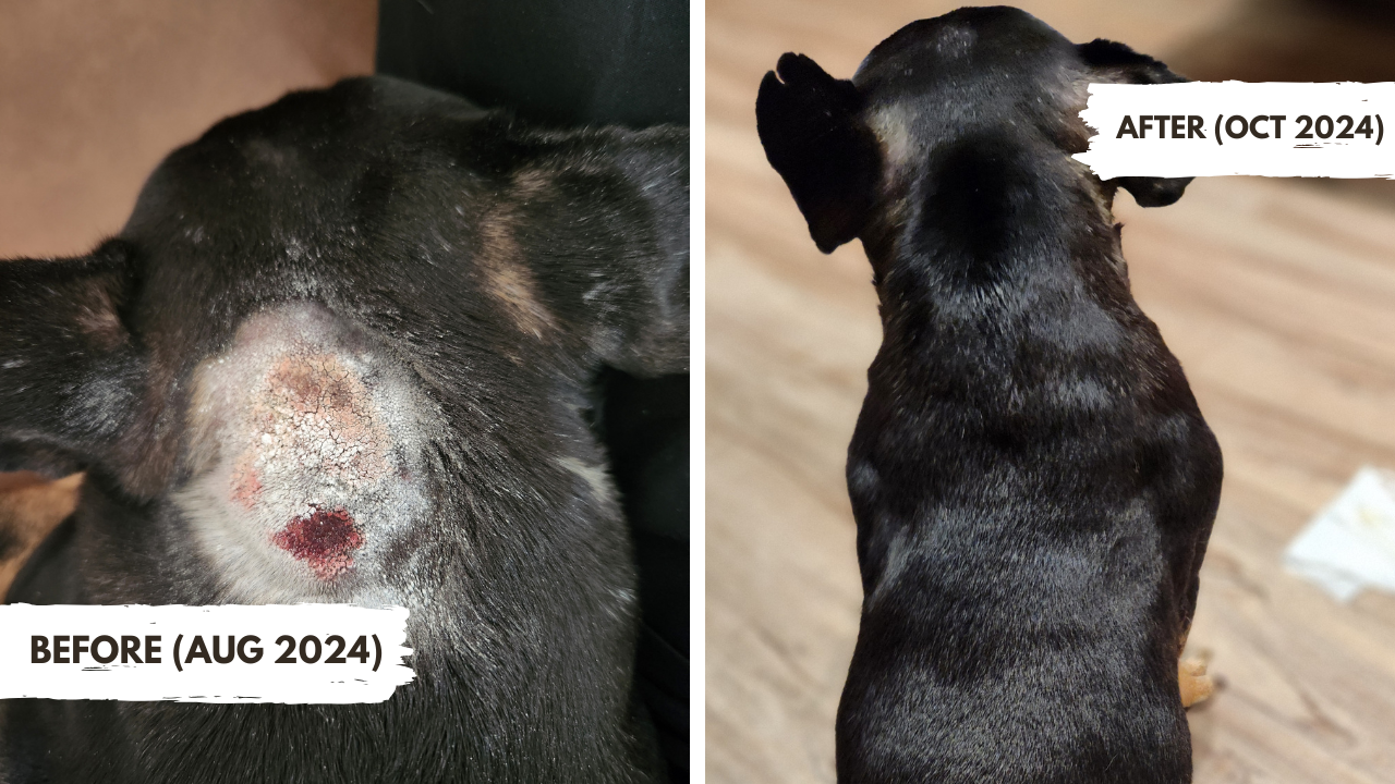 JOOF Transformation 5
