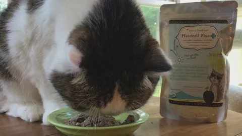 CocoTherapy Organic Cat Hairball Plus | Hairball Digestive Fiber Support | Holistic Healthcare for Cats