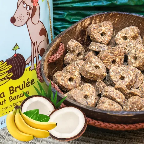 CocoTherapy Organic Pure Hearts Cookies | Vegan Grain Gluten Free Coconut Baked Treats For Dogs | Premium Pets Treats