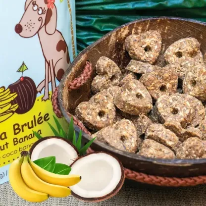 CocoTherapy Organic Pure Hearts Cookies | Vegan Grain Gluten Free Coconut Baked Treats For Dogs | Premium Pets Treats