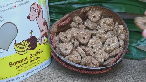 CocoTherapy Organic Pure Hearts Cookies | Vegan Grain Gluten Free Coconut Baked Treats For Dogs | Premium Pets Treats