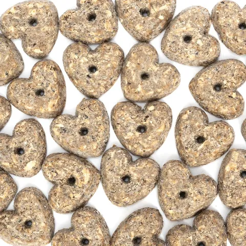 CocoTherapy Organic Pure Hearts Cookies | Vegan Grain Gluten Free Coconut Baked Treats For Dogs | Premium Pets Treats