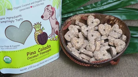 CocoTherapy Organic Pure Hearts Cookies | Vegan Grain Gluten Free Coconut Baked Treats For Dogs | Premium Pets Treats