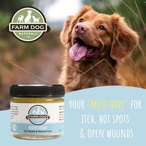 Farm Dog Naturals Restore Salve | Itch Relief Hot Spot Rash Inflamed Topical Support | Holistic Grooming Care for Dogs