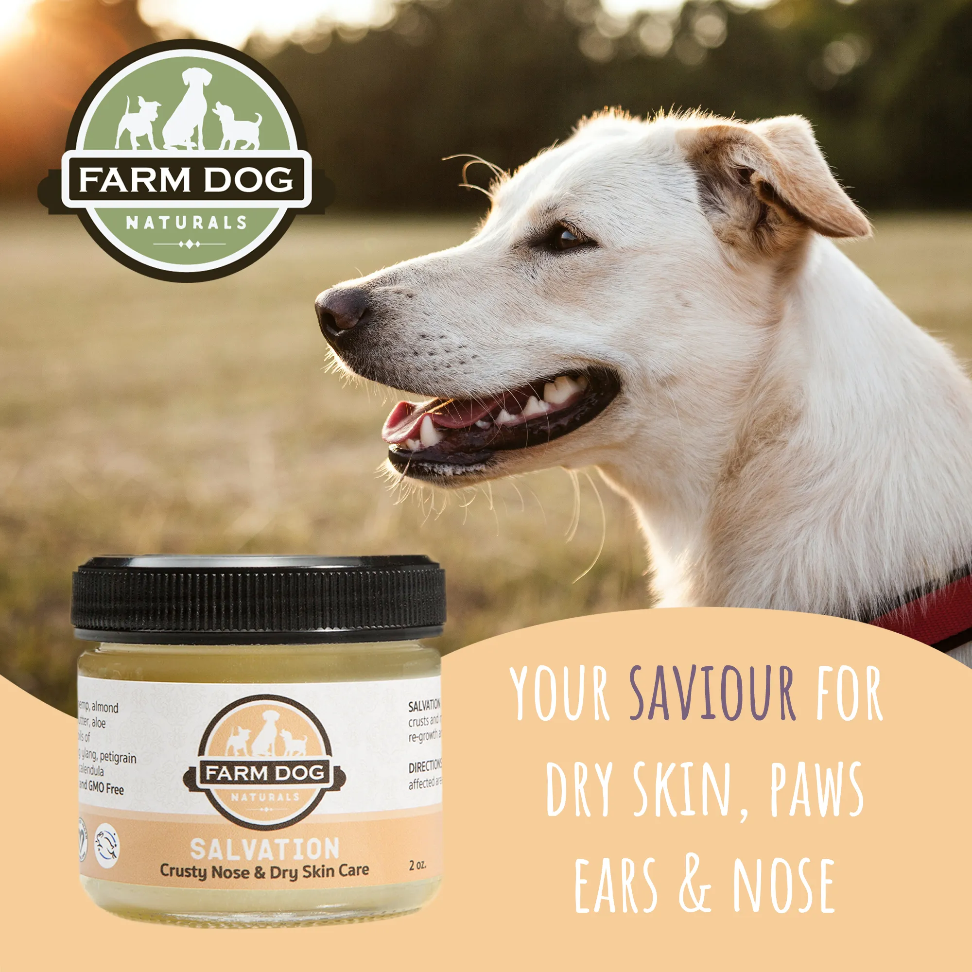 Farm Dog Naturals Salvation Salve (2oz) | Crusty Nose/Dry Skin Inflamed Topical Support | Holistic Grooming Care for Dog