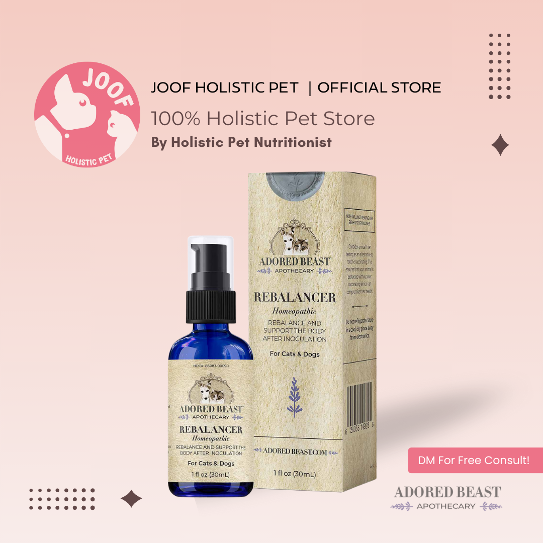 Adored Beast Rebalancer (30ml) Post Vaccine Detox Support for Dogs and Cats