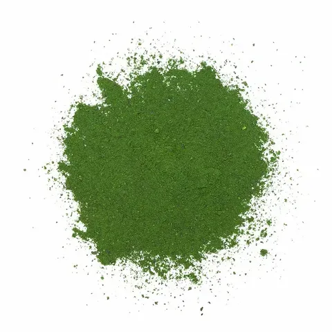 Adored Beast Phyto Synergy | Super Antioxidant Immune Omega3 Support | Holistic Healthcare for Dogs & Cats