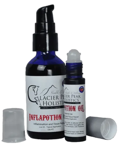 Glacier Peak Inflapotion Oil | Topical Oil for Pain Anti-Inflammatory IVDD Joint Support | Holistic Healthcare for Dogs & Cats