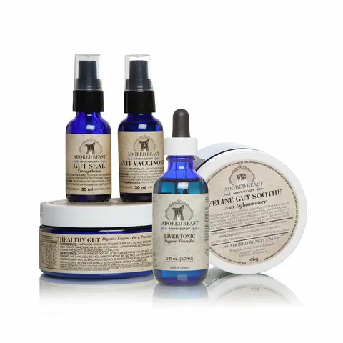 Adored Beast Feline Leaky Gut Protocol | Gut Repair Immune Support | Holistic Healthcare for Cats
