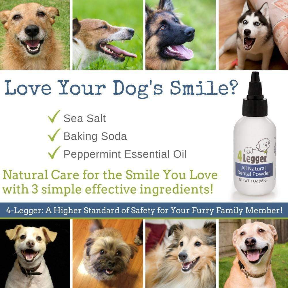 4Legger Vegan Dental Powder Oral Health Support for Dogs