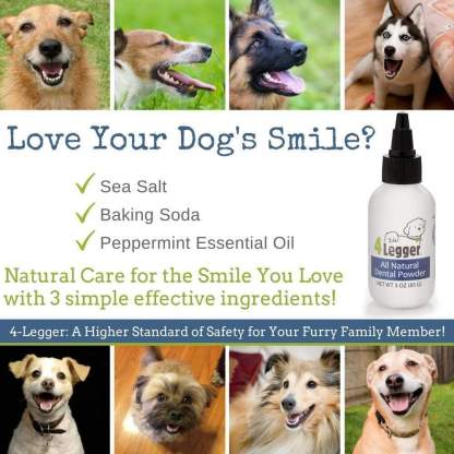 4Legger Vegan Dental Powder Oral Health Support for Dogs