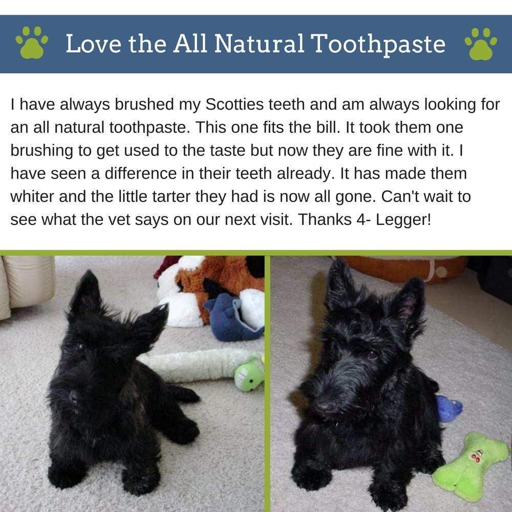 4Legger Vegan Dental Powder Oral Health Support for Dogs
