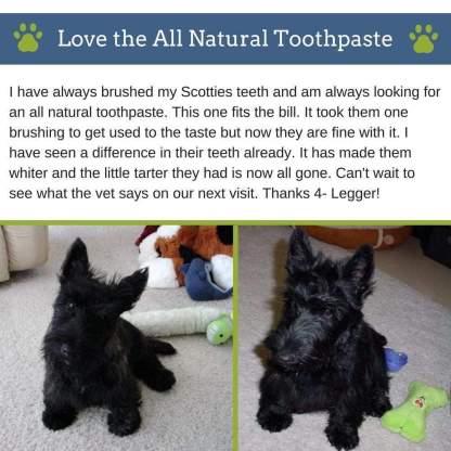 4Legger Vegan Dental Powder Oral Health Support for Dogs