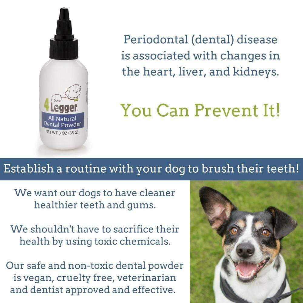 4Legger Vegan Dental Powder Oral Health Support for Dogs