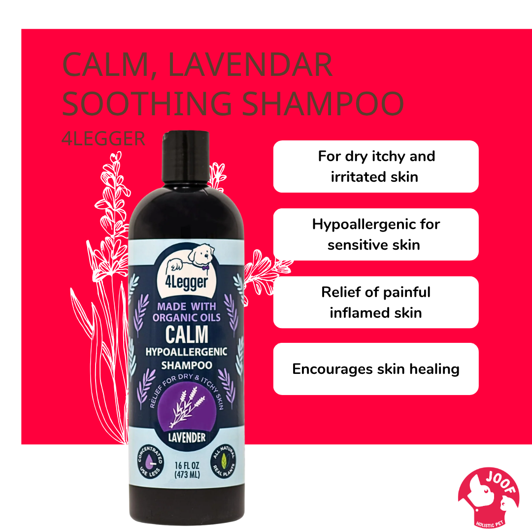 4Legger Calm Lavender Shampoo (16oz) Hypoallergenic Itchy Skin Relief Support for Dogs
