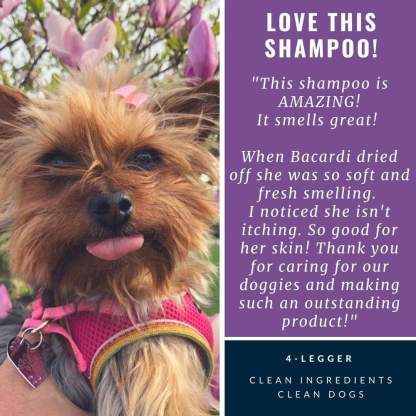 4Legger Calm Lavender Shampoo (16oz) Hypoallergenic Itchy Skin Relief Support for Dogs
