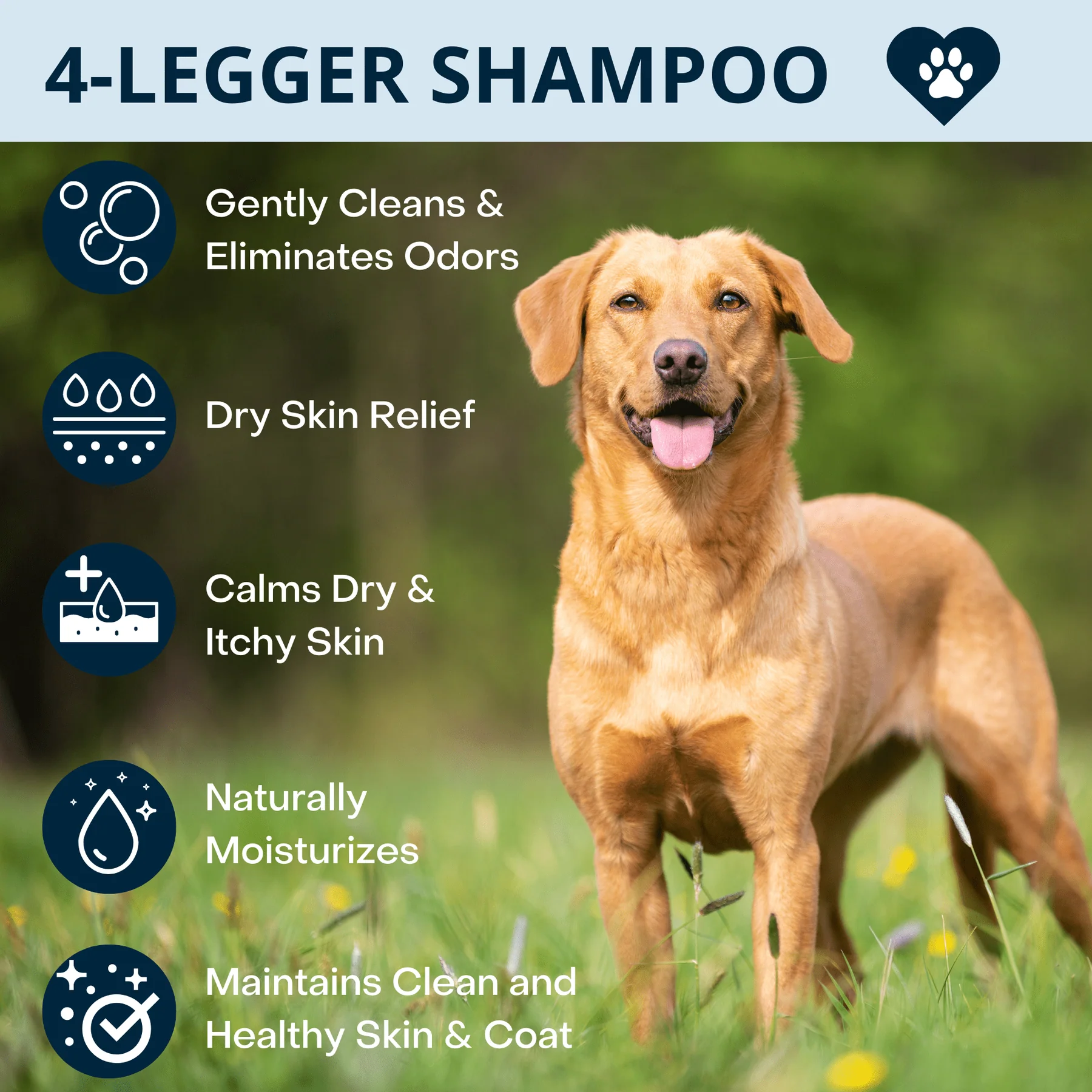 4Legger Calm Lavender Shampoo (16oz) Hypoallergenic Itchy Skin Relief Support for Dogs
