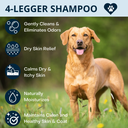 4Legger Calm Lavender Shampoo (16oz) Hypoallergenic Itchy Skin Relief Support for Dogs
