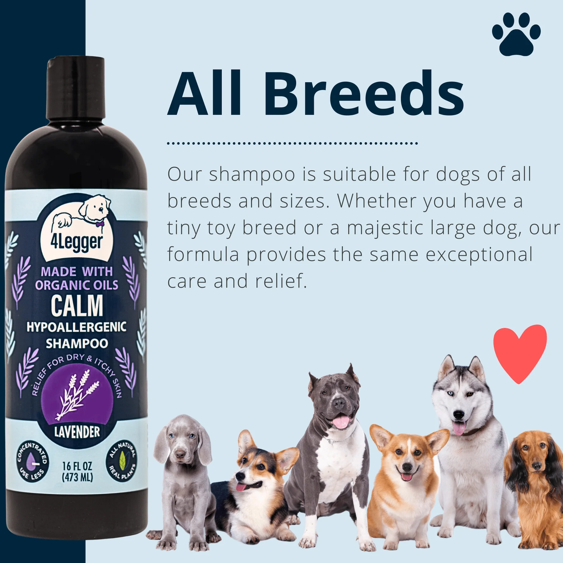 4Legger Calm Lavender Shampoo (16oz) Hypoallergenic Itchy Skin Relief Support for Dogs