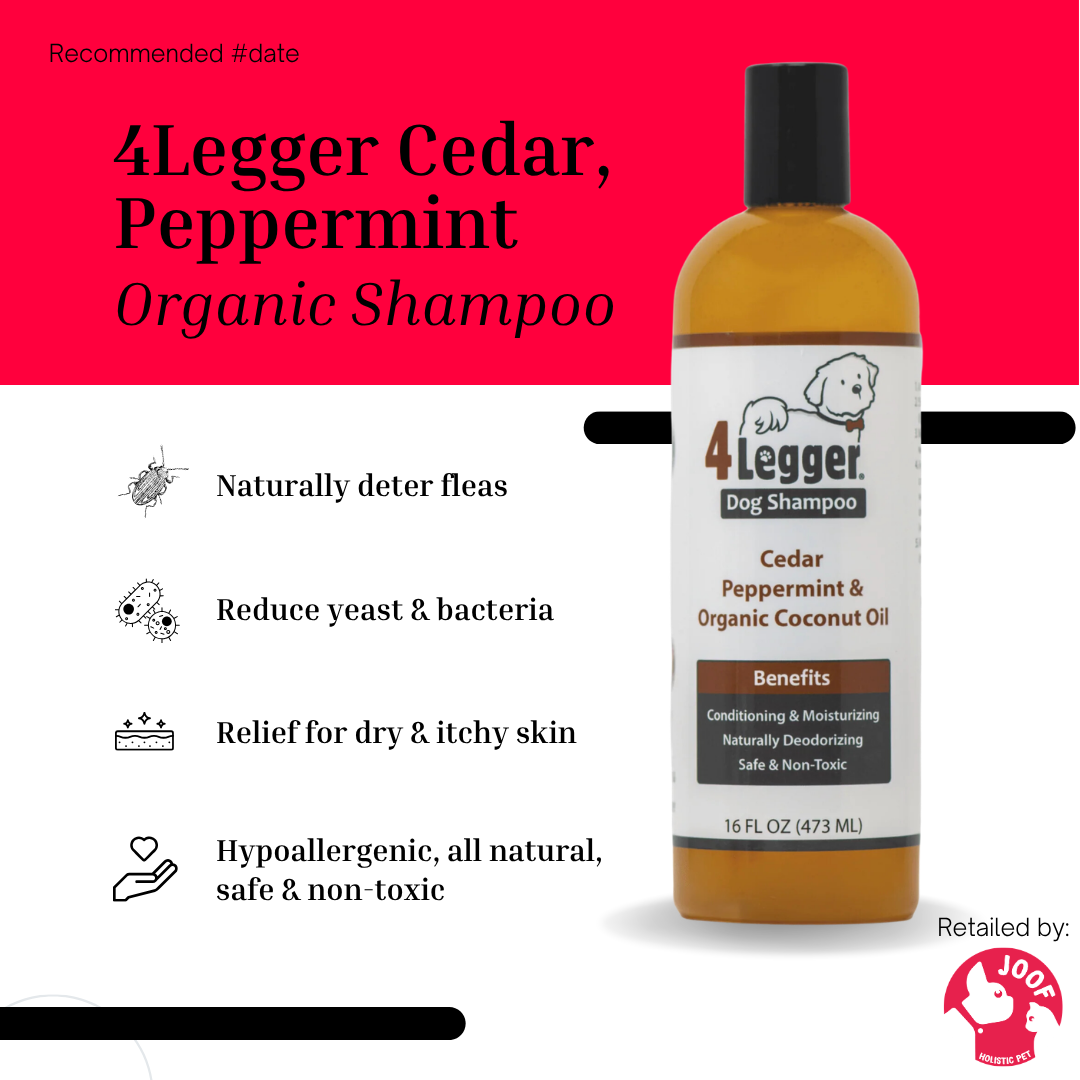 4Legger Cedar Peppermint Shampoo (16oz & 1 Gallon) Healthy Skin Coat Support for Dogs