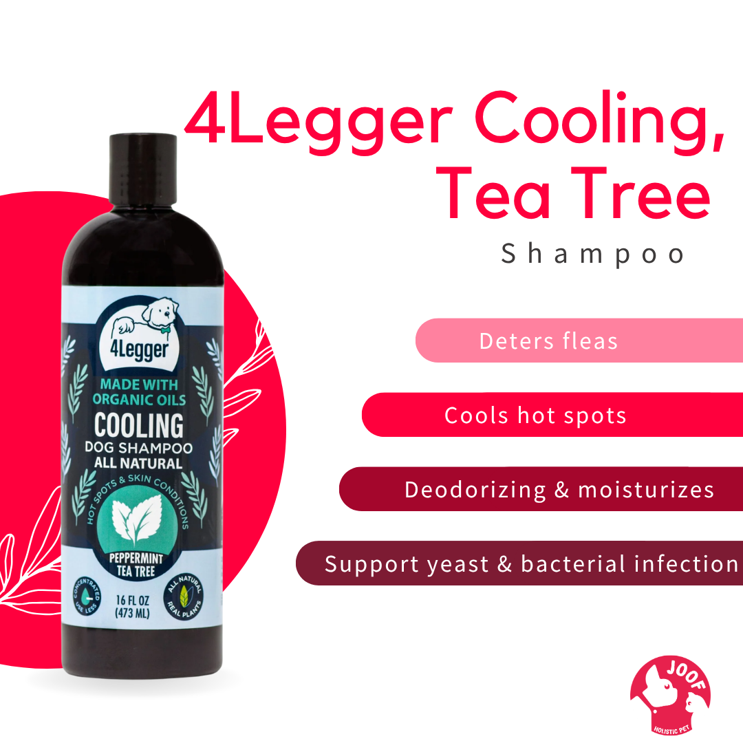 4Legger Cooling Tea Tree Shampoo (16oz) Yeast Bacteria Skin Support for Dogs