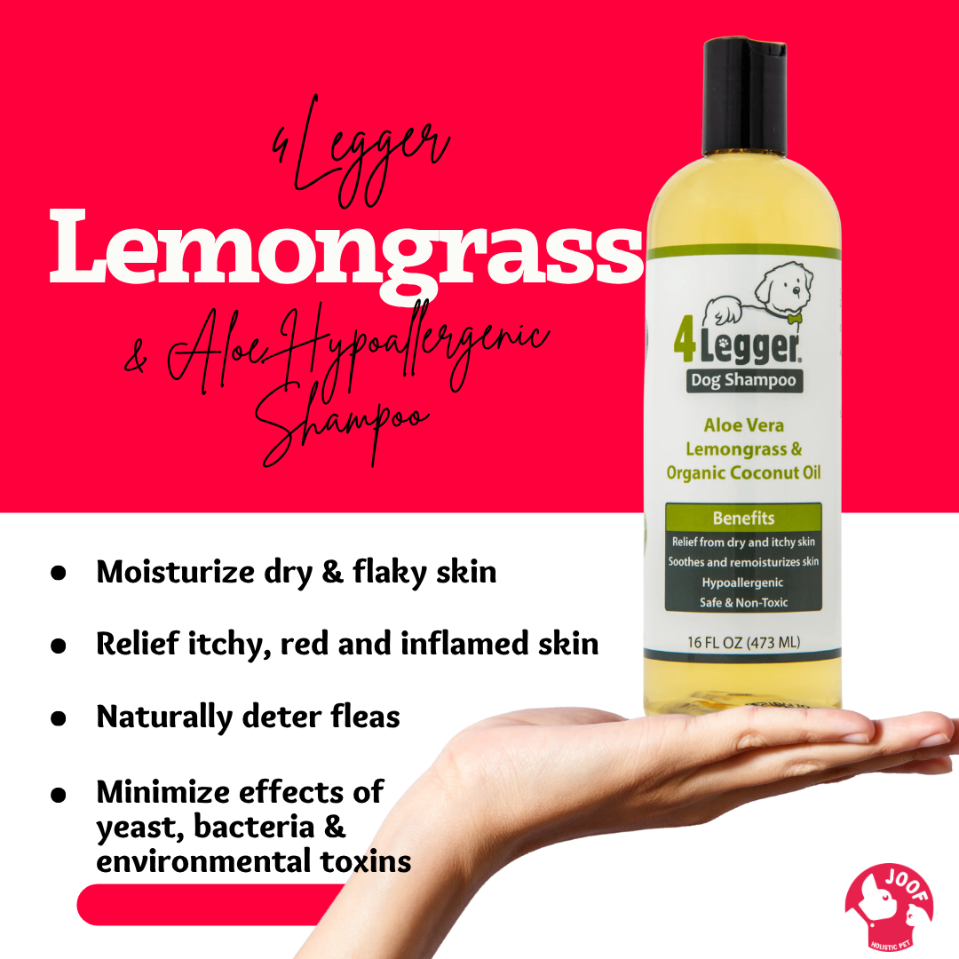 4Legger Lemongrass Aloe Shampoo (16oz & 1 Gallon) Anti Flea Tick Dry Dandruff Support for Dogs & Cats