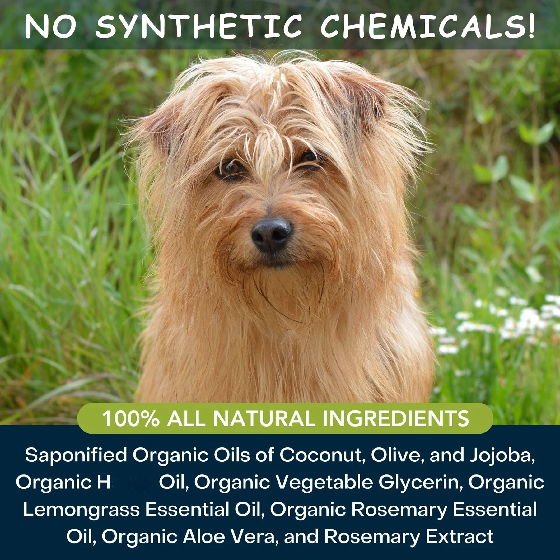 4Legger Moisturize Shampoo (16oz) Lemongrass Anti Flea Tick Support for Dogs