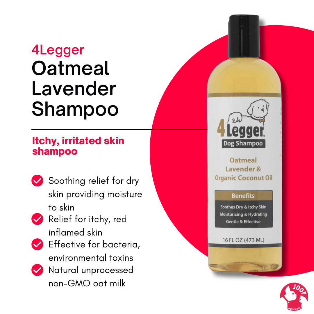 4Legger Oatmeal Lavender Shampoo (16oz & 1 Gallon) Itchy Irritated Skin Relief for Dogs