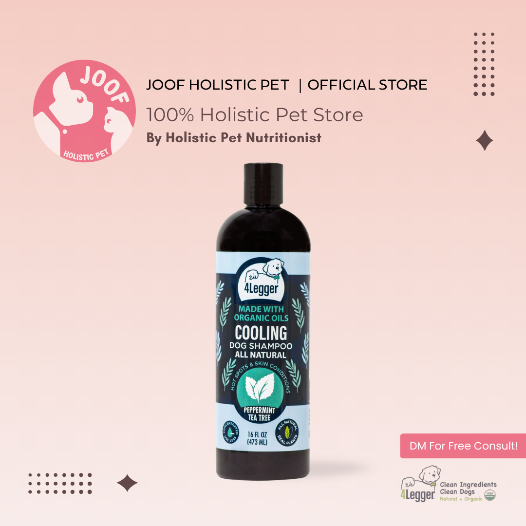 4Legger Cooling Tea Tree Shampoo (16oz) Yeast Bacteria Skin Support for Dogs
