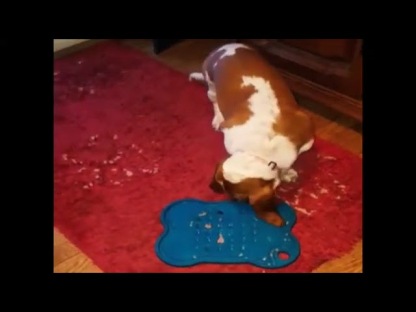 Mine Pet Platter - Bone Platter | Feeding Plate, Lick Mat, Anti-Bloat & Slow Feeding Mats, Bowls & Plate For Dogs & Cats
