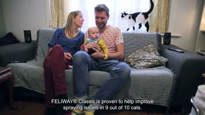 FELIWAY Classic Diffuser | Separation Anxiety Stress Relief | Holistic Healthcare for Cats
