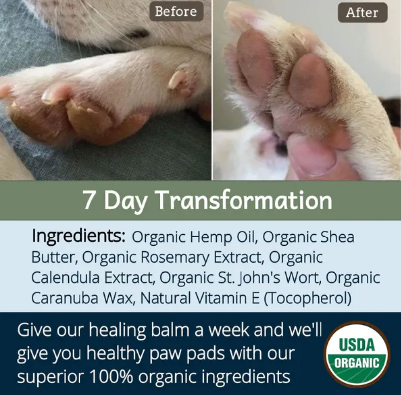 4Legger USDA Certified Organic Nose & Paws Healing Balm | Irritated, Dry Skin Topical Support | Natural Pet Grooming Essentials