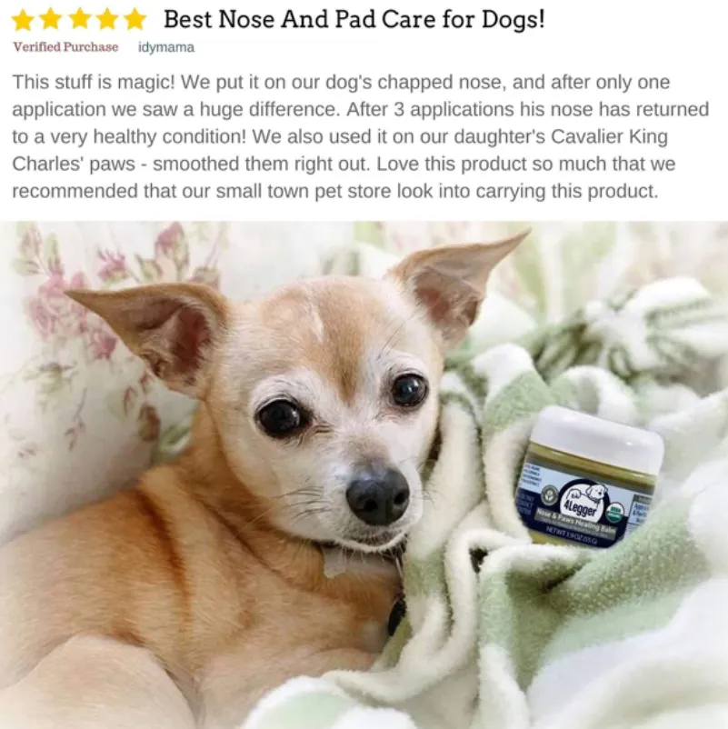 4Legger USDA Certified Organic Nose & Paws Healing Balm | Irritated, Dry Skin Topical Support | Natural Pet Grooming Essentials