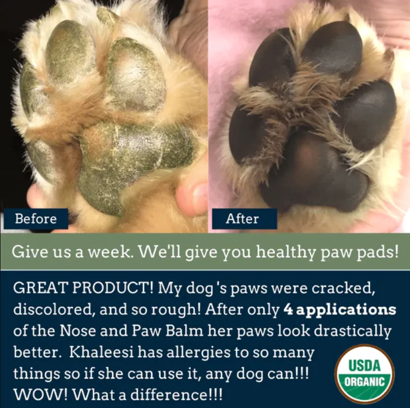 4Legger USDA Certified Organic Nose & Paws Healing Balm | Irritated, Dry Skin Topical Support | Natural Pet Grooming Essentials