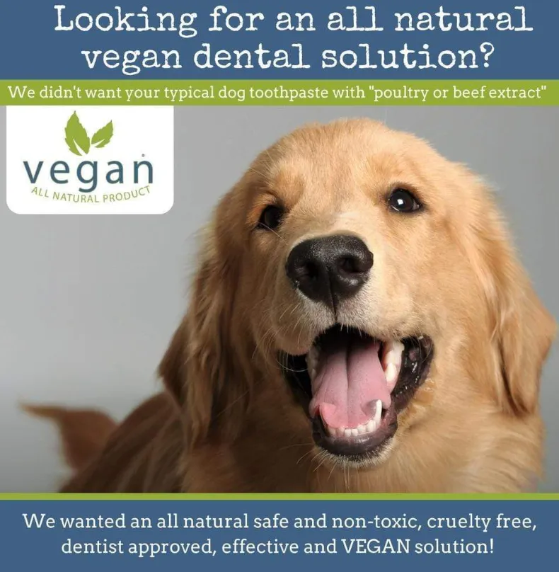 4Legger All Natural Vegan Dental Powder | Oral Health Support | Natural Grooming Essentials for Dogs