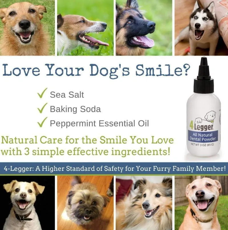 4Legger All Natural Vegan Dental Powder | Oral Health Support | Natural Grooming Essentials for Dogs