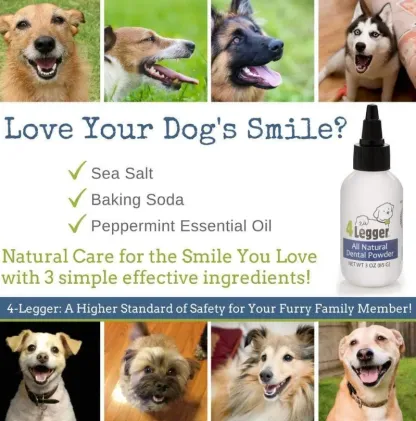 4Legger All Natural Vegan Dental Powder | Oral Health Support | Natural Grooming Essentials for Dogs