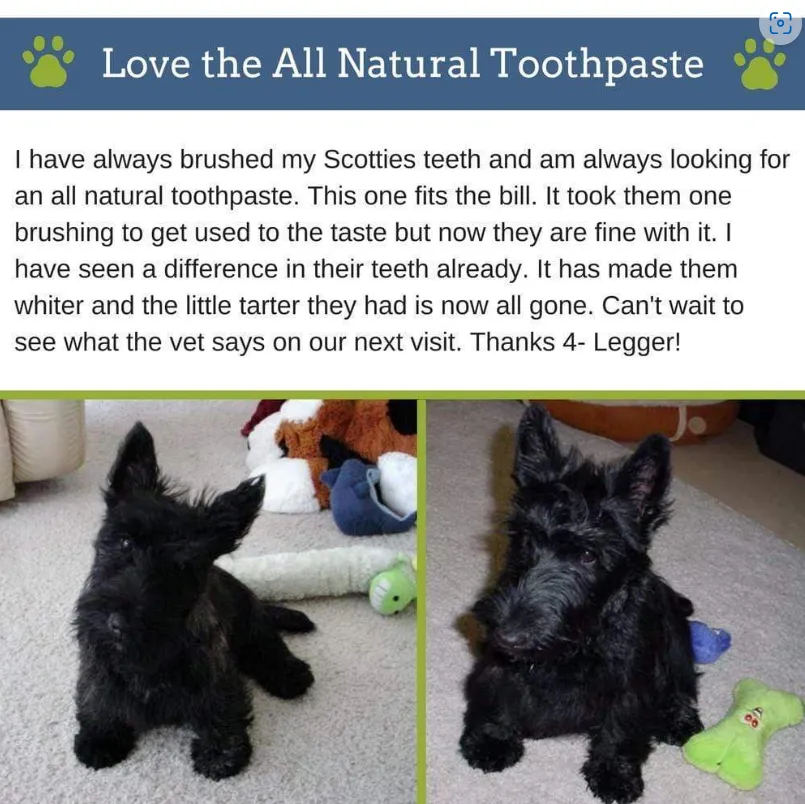4Legger All Natural Vegan Dental Powder | Oral Health Support | Natural Grooming Essentials for Dogs