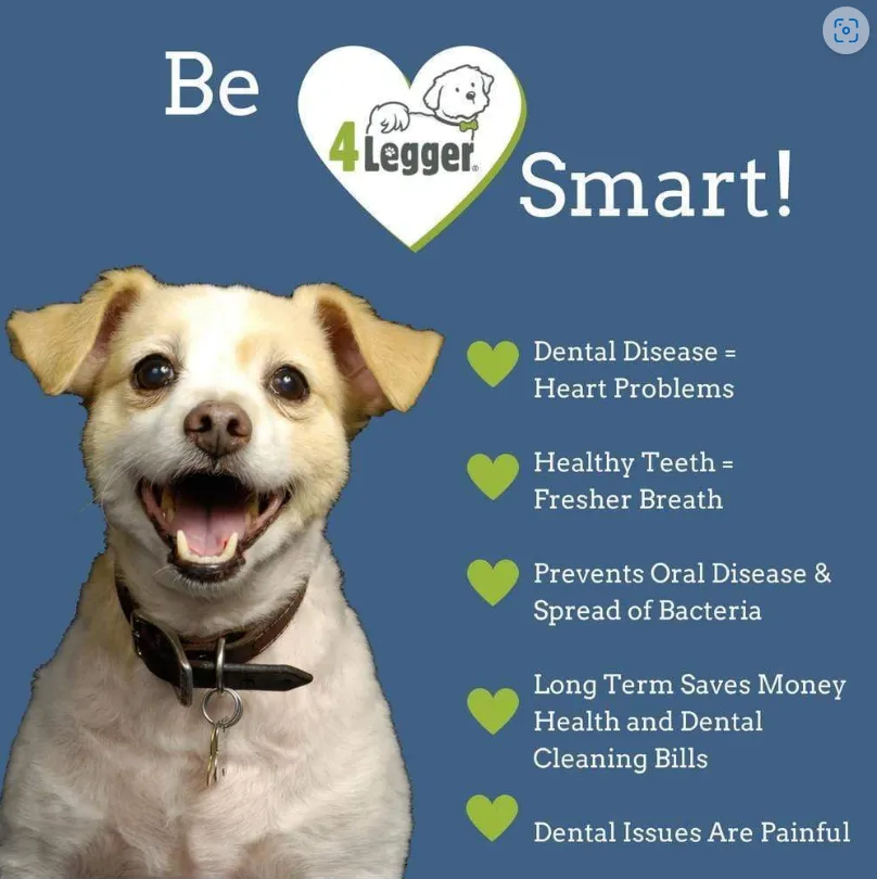 4Legger All Natural Vegan Dental Powder | Oral Health Support | Natural Grooming Essentials for Dogs