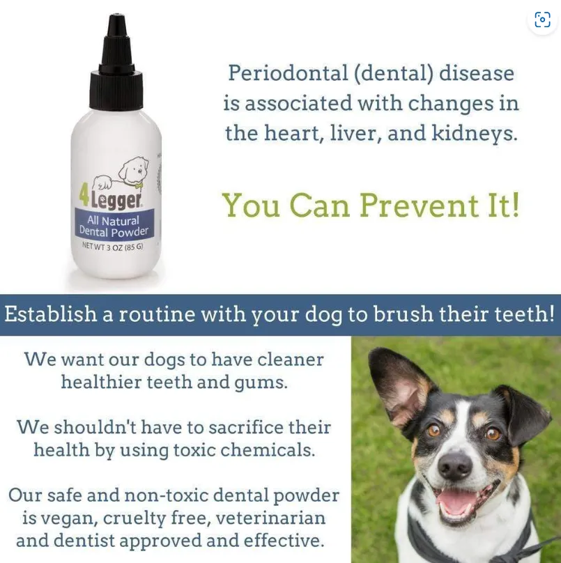 4Legger All Natural Vegan Dental Powder | Oral Health Support | Natural Grooming Essentials for Dogs