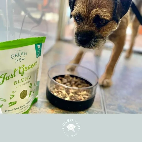 Green Juju Just Green with Nettles | Freeze Dried Green Vegetables Blend | Premium Wholefood Toppers for Dogs