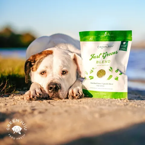 Green Juju Just Green with Nettles | Freeze Dried Green Vegetables Blend | Premium Wholefood Toppers for Dogs