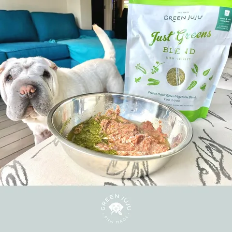 Green Juju Just Green with Nettles | Freeze Dried Green Vegetables Blend | Premium Wholefood Toppers for Dogs