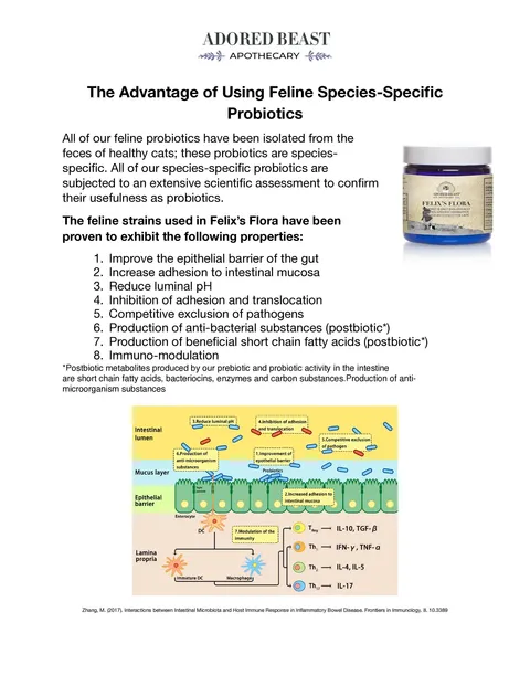 Adored Beast Felix's Flora | Species Appropriate Pre & Probiotic Immune Modulator | Holistic Healthcare for Cats