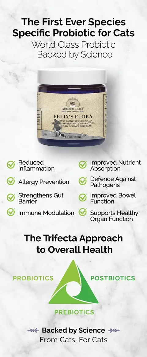 Adored Beast Felix's Flora | Species Appropriate Pre & Probiotic Immune Modulator | Holistic Healthcare for Cats