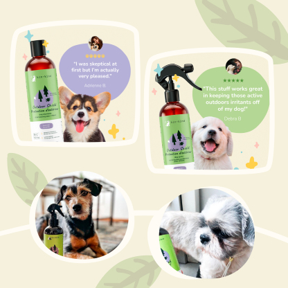 Kin & Kind Flea Tick Protect Spray - Lavender | Anti-Flea, Tick & Mosquito Spray For Dogs | Natural Pet Grooming Essentials